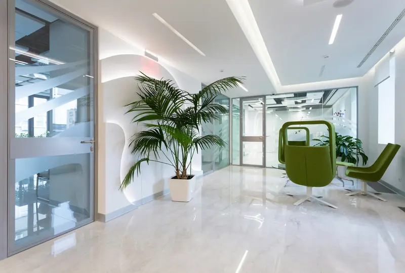 Bright, modern Vitalissea reception area